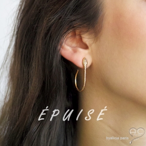 Boucles d'oreilles créoles...